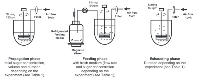 Table 1 e Summary of operating conditions applied in fed-batch fermentations.
