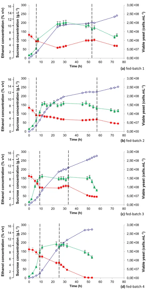Fig. 4 e Kinetics of sugar ( ), ethanol ( ) and viable yeast cells ( ) concentrations during: (a) the fed-batch 1, (b): the fed-batch 2, (c): the fed-batch 3 and (d): the fed-batch 4