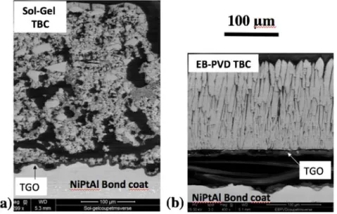 Fig. 12. SEM micrographs of the cross section of (a) the reinforced/optimized sol–gel TBC and (b) EB-PVD TBC following the 1480th 1 h-cycle at 1100 ◦ C.