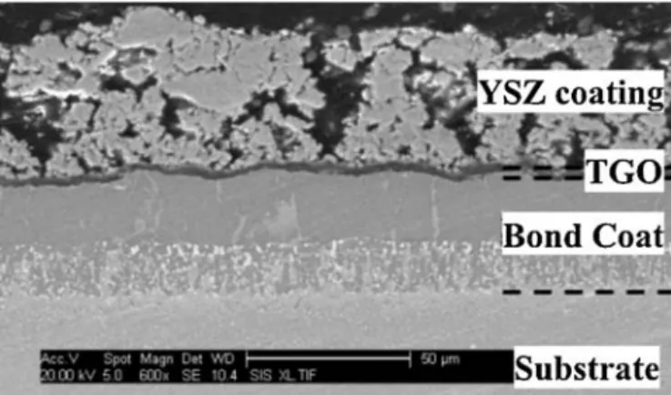 Fig. 2. Cross-section SEM micrograph of a sol–gel TBC.