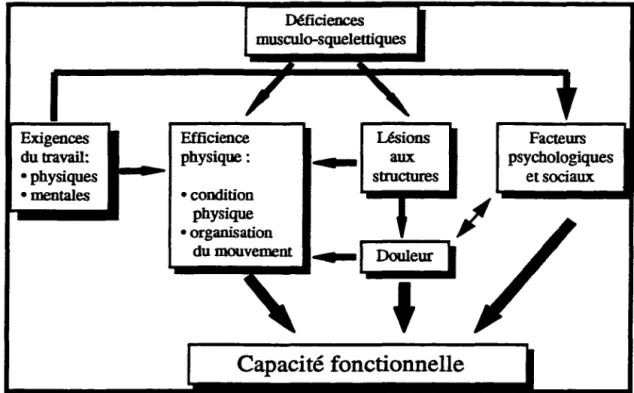 Figure 1. Modulateurs de la capacité fonctionnelle 