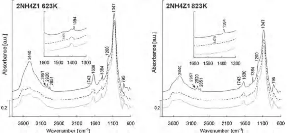 Fig. 6. FTIR spectra of twice ammonium-modified natural zeolite (2NH4Z1): (A) out-gassed at 623 K; (B) out-gassed at 823 K