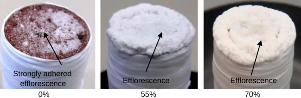 Fig. 5. Pictures of the efﬂorescence formed at the end of drying experiment in the case of 3 m NaCl saturated brick dried at 0%, 55% and 70% relative humidity