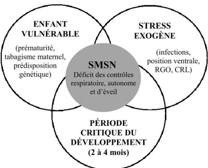 Figure 5. Diagramme de Venn illustrant la théorie du triple risque du SMSN développée en 1994 par  Filiano  et  Kinney
