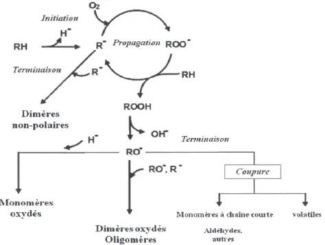Figure 1.5 : Schéma d'auto-oxydation des lipides (adapté de Dobarganes, 2011) 