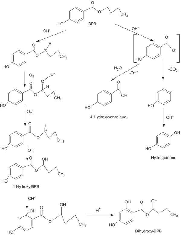 Fig. 6. The chemical structure and the proposed reaction pathway for the US/UV degradation of BPB.