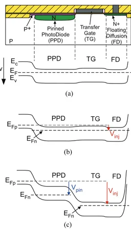 Fig. 3 presents the band diagram of the PPD-TG-FD structure for three V inj values and with the TG turned ON.