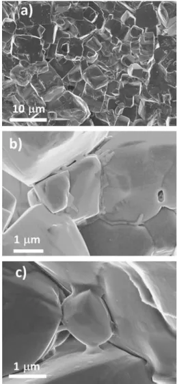 Figure 3. SEM images of LiF heated by SPS to 500 °C at 2 MPa. (a) Melting of the particle corners, (b) surfaces wetted by a ﬂowing liquid and (c) the material jet formed by the spark impact are visible.
