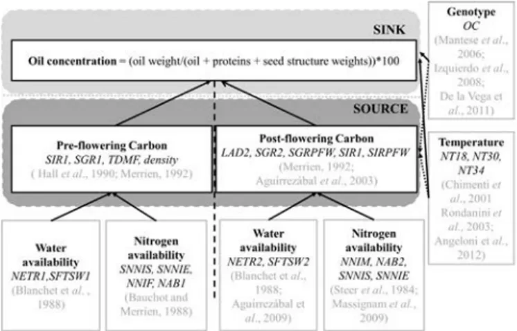 Fig. 1. Schematic framework of sunﬂower oil concentration elaboration as described in section 1 and relative selected predictors used for statistical modeling