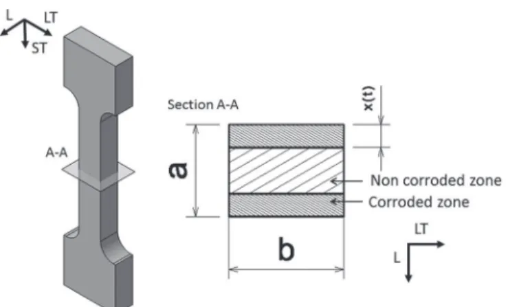 Figure 6. Schematic of a section of a pre-corroded tensile specimen, with hatched areas corresponding to the non-bearing zone