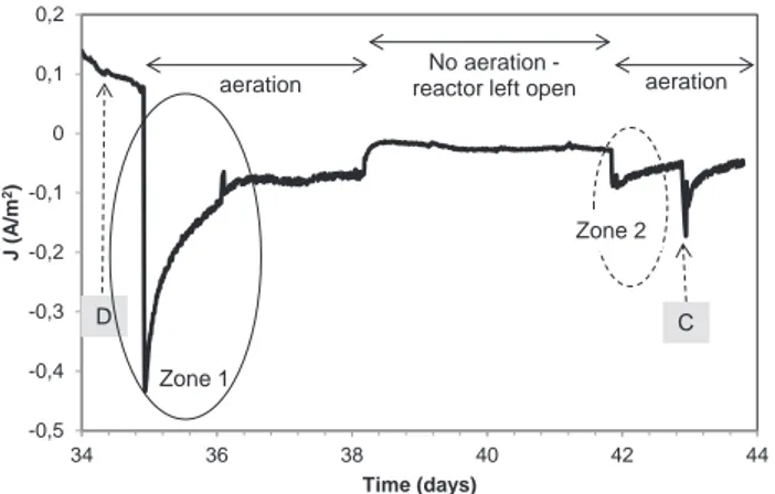 Fig. 2. (Zoom in on Fig. 1): Chronoamperometry of the second cathodic phase (from day 34 to day 44) in reactor 1