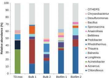 Table 2 gives the microbial communities (distribution in per- per-centage of total sequences) at the phylum and class levels for the bulks and the biofilms of the two reactors (duplicates) at the end of experiments