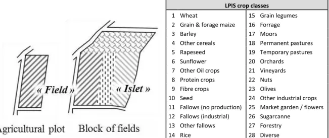 Figure 15. Key information provided by the French “Land Parcel Identification System” (LPIS) geographic  database, and corresponding terminology used in this article