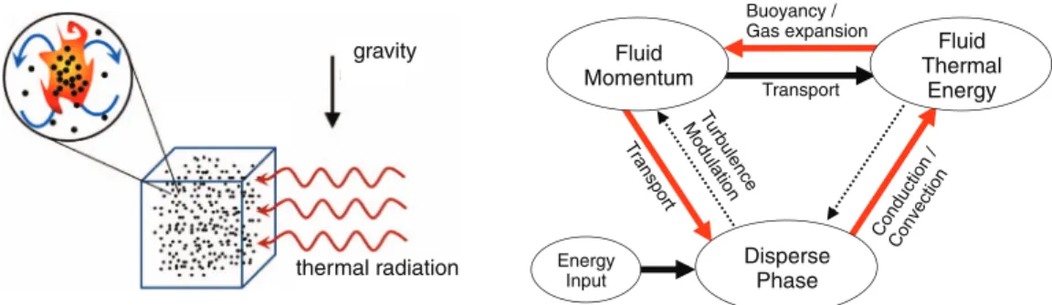 FIG. 1. (Left) Schematics of particle-laden flow subject to radiation. Buoyant plumes are induced in regions with higher particle concentration