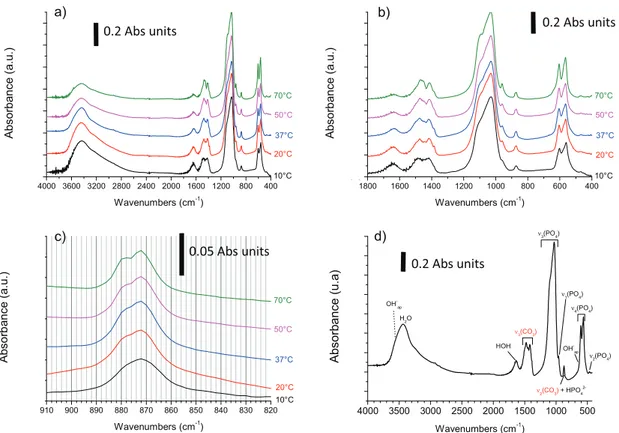 Fig. 2. FTIR spectra for carbonated apatite reference compoundss: a) typical spectra obtained for various maturation temperatures (for 15 days of maturation), b) zoom on the 400e1800 cm 1 range, c) detail on the n 2 (CO 3 ) region, d) indexation of bands 