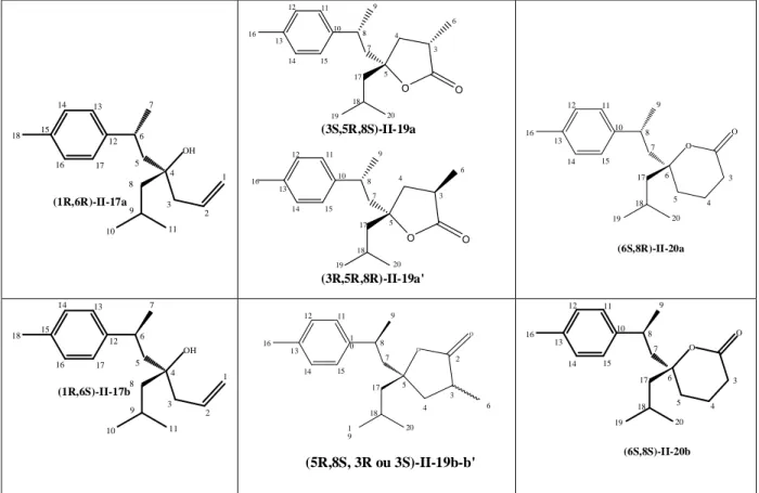 Figure 6: Stéréochimie des composés II-17a, II-17b, II-19a,a’, II-19b,b’, II-20a, II-20b (un  énantiomère seul est représenté)