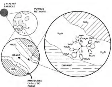 Figure 6. Schematic representation of a SAP catalyst. Reprinted with permission from Arhancet, J