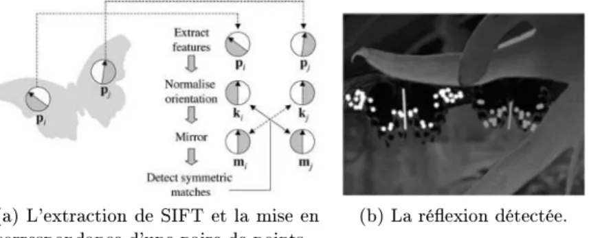 Figure 3.5 – Descripteur SIFT pour détecter la symétrie dans une image [Loy 2006]. Podolak et al