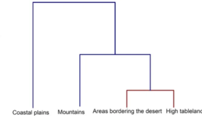 Figure 4: Dendrogram based on morphological traits (distances between  regions)