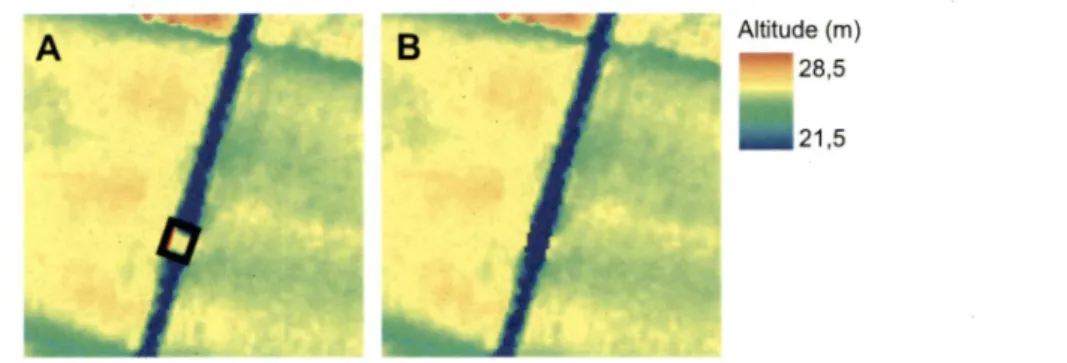 Figure 7  - A)  Numérisation d'un artéfact B)  Correction de la valeur des cellules