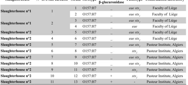 Table 2. Phenotypic and genotypic characteristics of E. coli O157: H7 strains Slaughterhouse N° of ovine carcasse Strain Serotype Sorbitol and