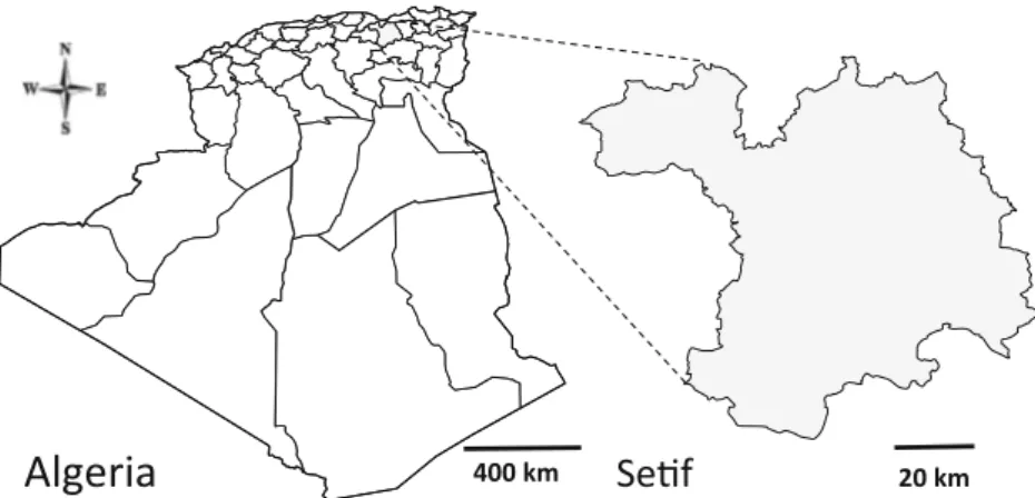 Fig. 1 Map of the region of Setif in the northeastern Algeria (gray area) where blood samples were collected from cows during the period between March 2016 and April 2018 to determine the seroprevalence of antibodies against C