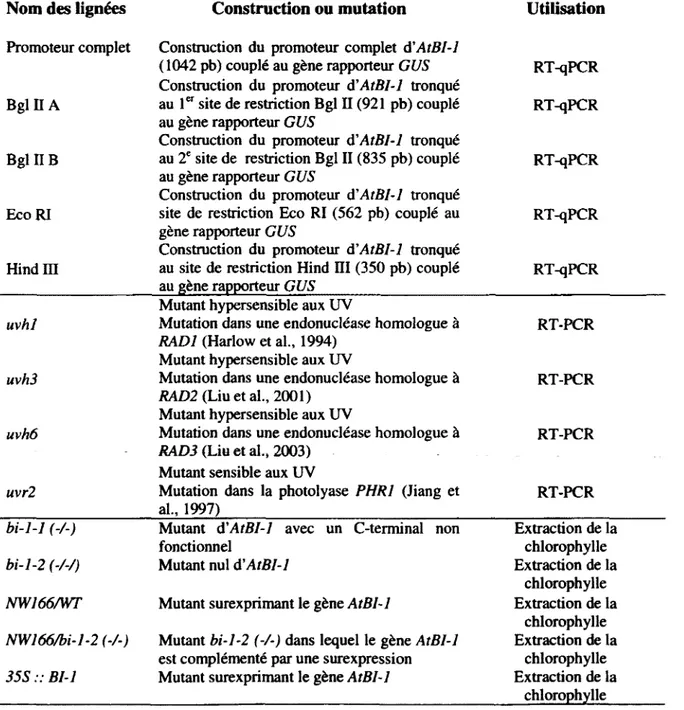 Tableau 1.  Liste des constructions et des mutants d'A thaliana utilisés 