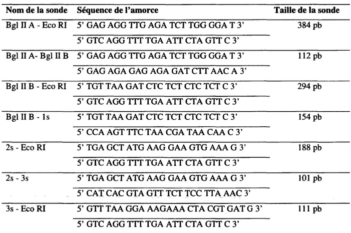 Tableau 3.  Liste des amorces utilisées pour obtenir les sondes d'ADN db pour le  gel à retardement 