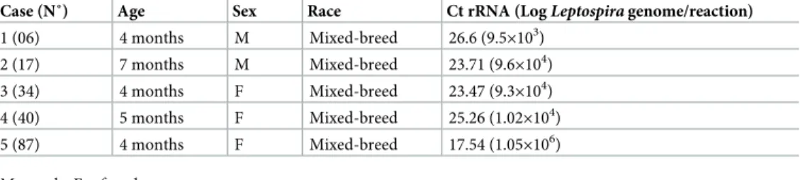 Table 4. Information relative to animals detected positive for L. interrogans DNA in urine samples: Age, sex, race, number of genomes per positive pPCR reaction