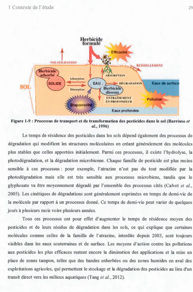 Figure 1-9  :Processus de transport et de transformation des  pesticides dans le sol (Barriuso et  al