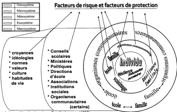 Figure 2 - Le modele bioecosystemique 