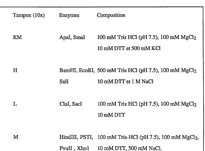 Tableau  2  Composition  des  tampons  spécifiques  utilisés  lors  des  digestions  par  les  enzymes  de  restriction