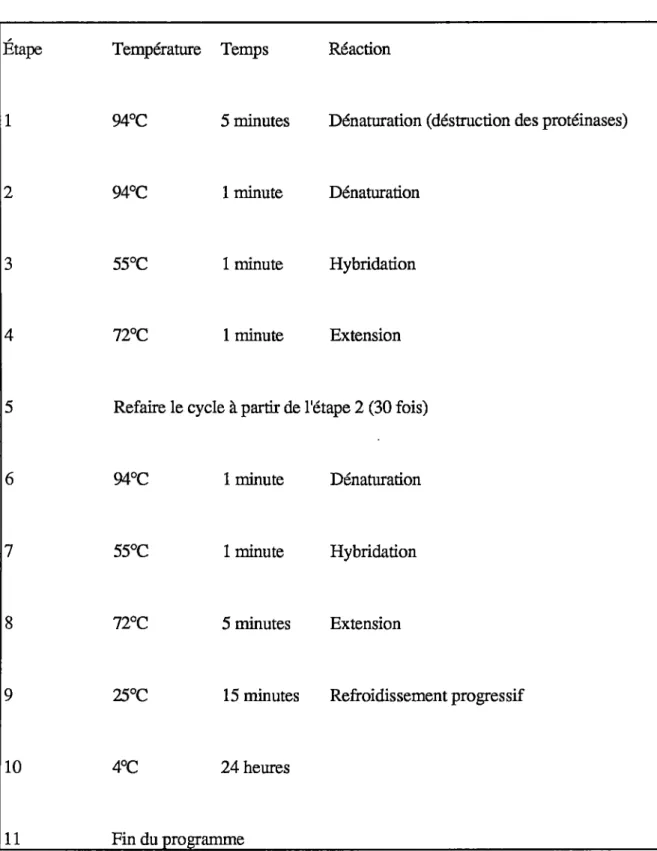 Tableau  6  - Conditions  des  réactions  utilisées  dans  la  technique  du  PCR 