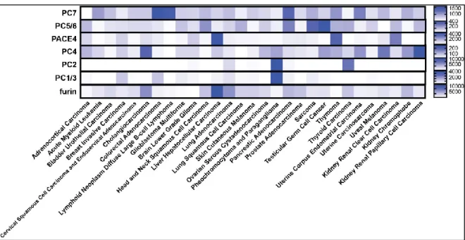 Figure  16  –  Expression  des  PCs  par  dans  les  différents  types  de  cancers  de  la  cohorte  du  The  Cancer  Genome Atlas (TCGA)