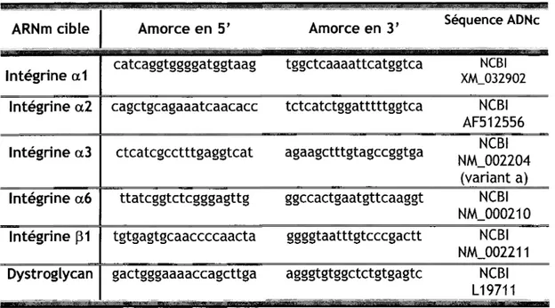 Tableau 3.  Séquences d'amorces utilisées pour les expériences de  RT-PCR et RT-PCR quantitatif 