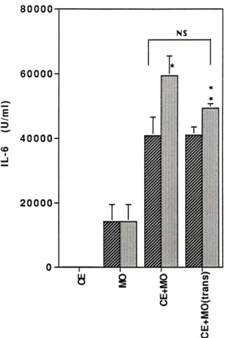 Figure  21:  Effet  de  l'utilisation  de  puits  transversaux  (&#34;transwells&#34;)  sur  la  production  d'IL-6  par  la  coculture  des  CE  et  des  monocytes