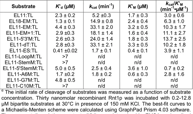 Table 1. Kinetic parameters of Rnt1p cleavage of bipartite substrates 