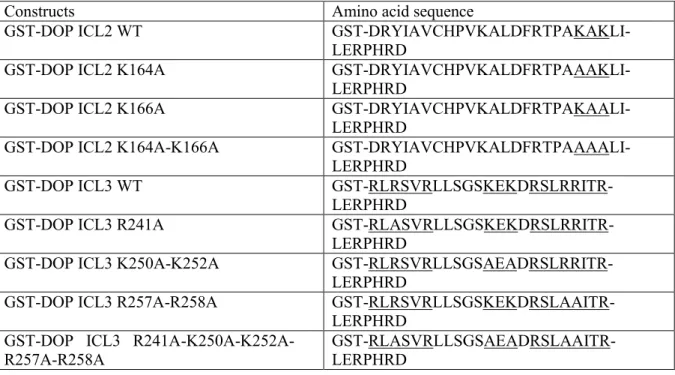 Table 1. Primary amino acid sequences used in the GST pulldown assays 