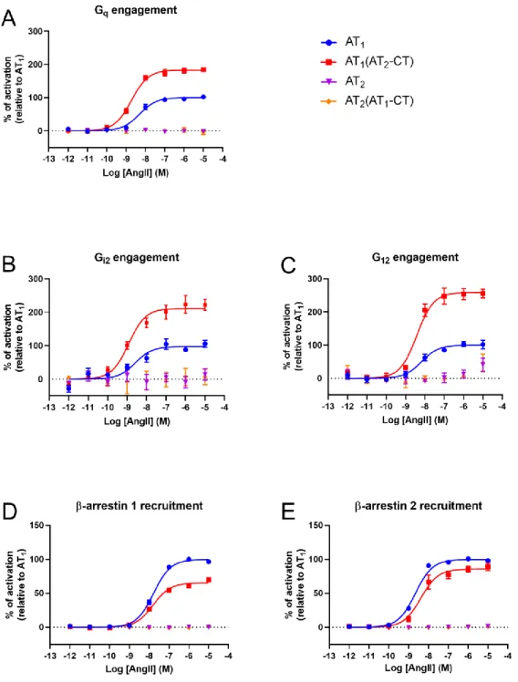 Fig.  4.  Activation  of  G  protein  and  β-arrestin  signaling  pathways  with  increasing  concentration  of  AngII  for  the  C-tail  chimeric  receptors