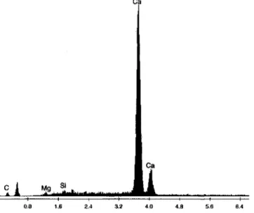 Figure 2.7 Composition chimique des produits d'autocicatrisation [Yang et al,  2009] 
