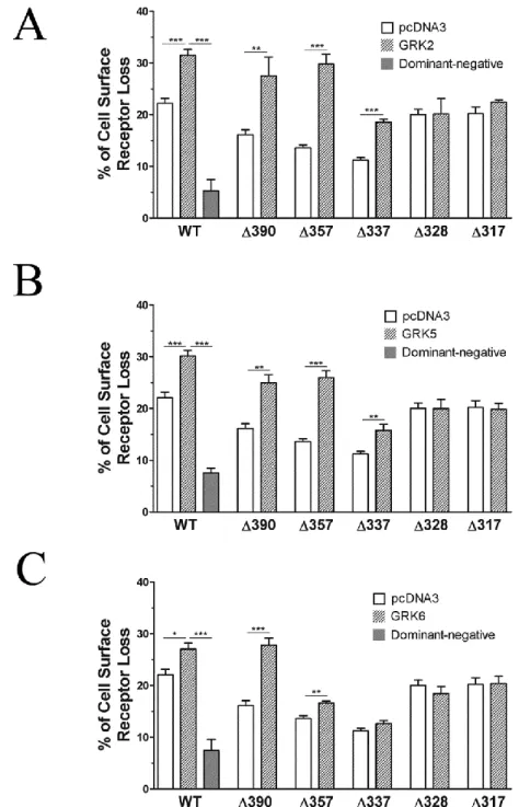 Figure 21  Receptor domains involved in the promotion of CRTH2 internalization by  GRKs 