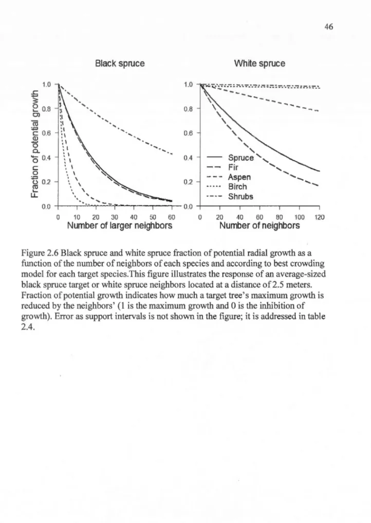 Figure 2.6 Black spruce and white spruce fraction of potential radial growth as  a  function  of the number of neighbors of each species and according to  best crowding  model for  each target species.This figure illustrates the response of an average-size