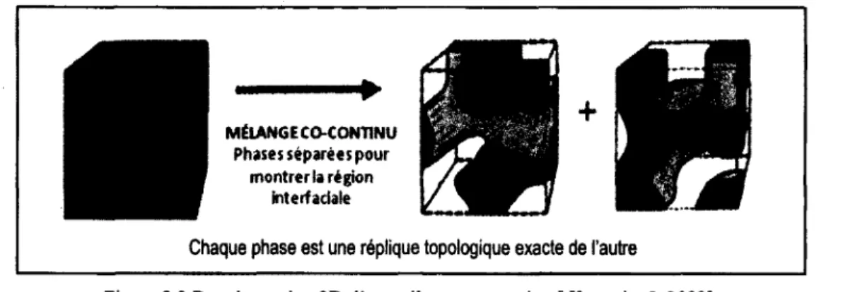 Figure 2.3  Représentation 3D d ’un mélange co-continu [ Kerstain, J. 2003].