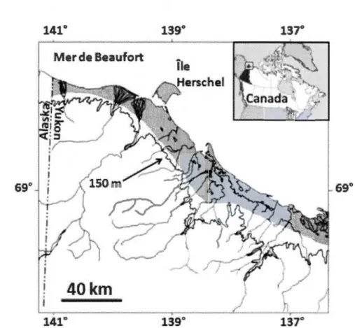Figure 0.3 Cartographie illustrant le nord du  Yukon.  La zone ombragée, sous  la  ligne  topographique désignant  150  mètres a u-dessus du  niveau de  la  mer, représente la plaine  côtière du nord du Yukon et l'Île  Herschel , et définit l'aire d'étude 