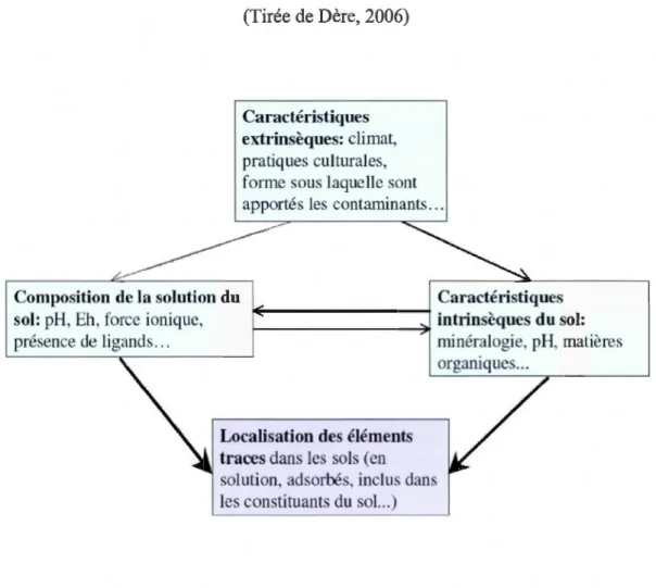 Figure 1.4  : Facteurs influençant la  distribution des métaux dans un  sol  (Tirée de Dère, 2006) 