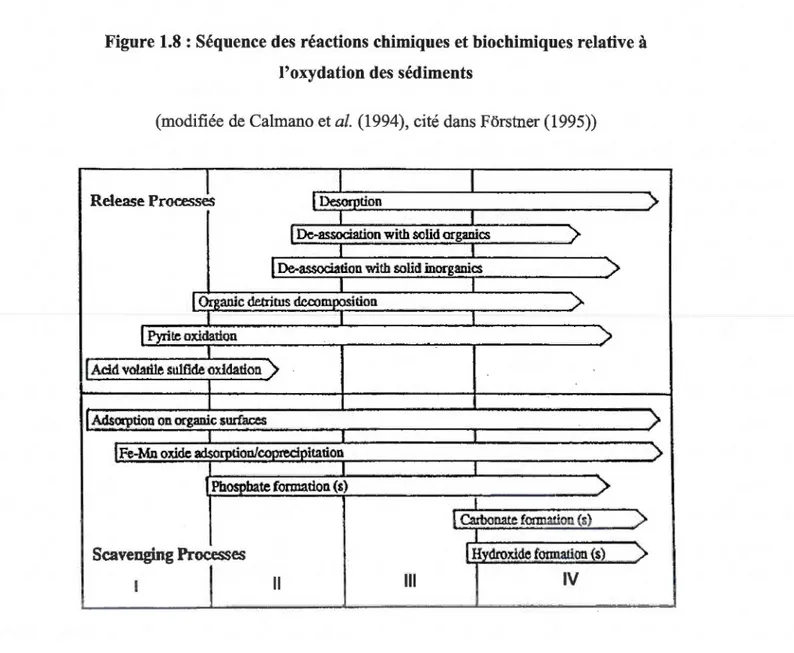 Figure 1.8 : Séquence des  réactions chimiques  et biochimiques  relative  à  l'oxydation des  sédiments 