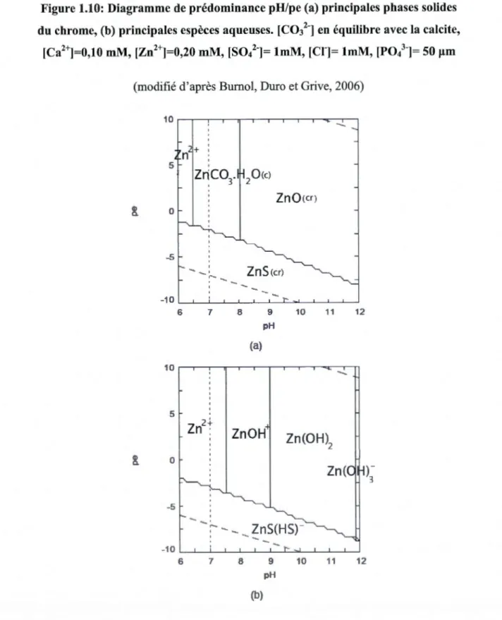 Figure 1.10: Diagramme de prédominance pH/pe (a) principales phases solides  du chrome,  (b)  principales espèces aqueuses