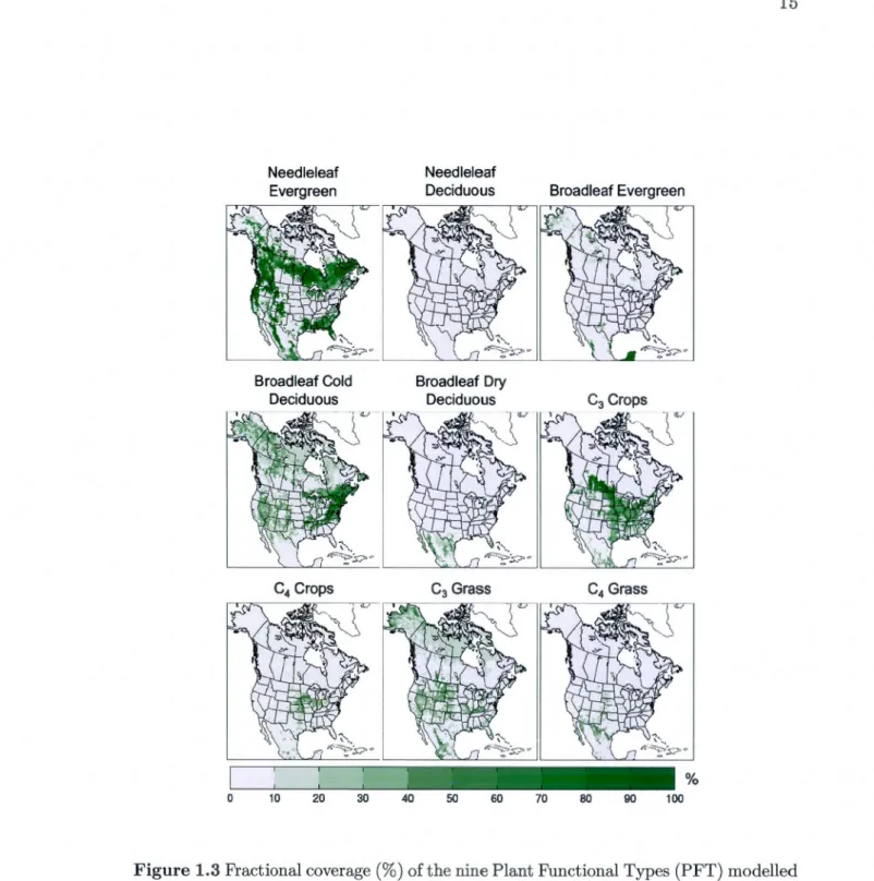 Figure 1.3 Fract ional coverage (%) of the nine P lant Functional Types  (PFT) modelled  by  CTEM for  the North  American  domain