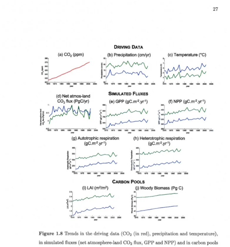 Figure  1.8  Trends in  the driving data (C02  (in  red) , precipitation  and  temperature) ,  in simulated fluxes  (net atmosphere-land C02 flux, GPP and NPP)  and in carbon pools  (LAI,  woody  biomass  and  soil  carbon mass)  over  the study domain fro