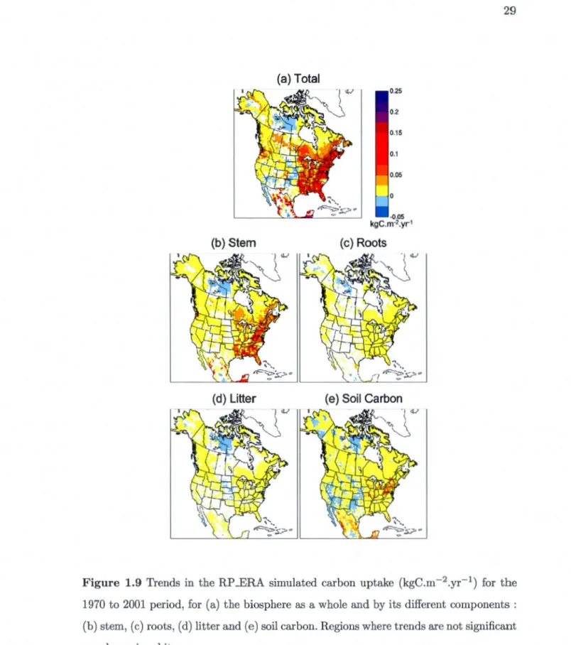 Figure  1.9  Trends  in  the  RP_ERA  simulated  carbon  uptake  (kgC.m- 2 .yr- 1 )  for  the  1970  to  2001  period,  for  (a)  the biosphere  as  a whole  and by  its  different  components  :  (b) stem,  (c)  roots , (d)  litter and (e) soil carbon